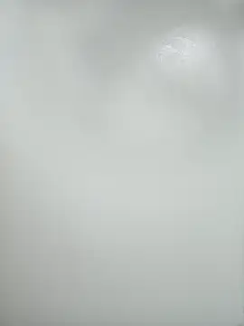 nangmo webcam