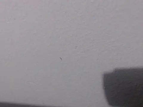 Adriana_0312 webcam