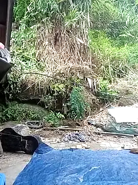 Ruaiuoi live webcam show