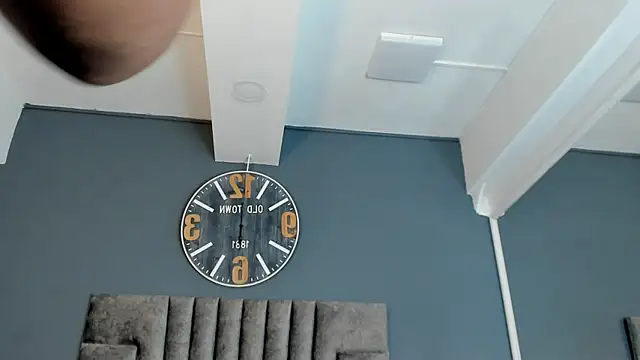 Robin_Rief webcam