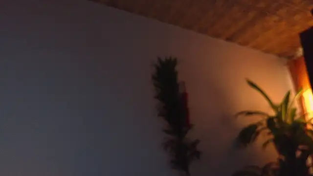 bri_von_dhara__