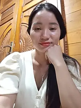 Td3di webcam