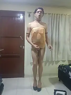 corepio webcam
