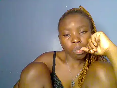 Chocolate-brownie webcam