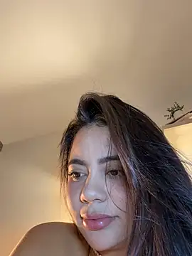 Aryrosee webcam