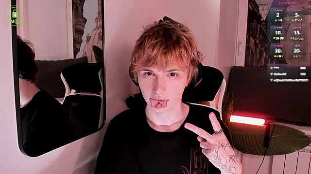 Your_avatar webcam