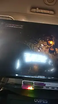 ZeldaSneakyLink webcam