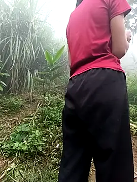Hoa-tuylip webcam