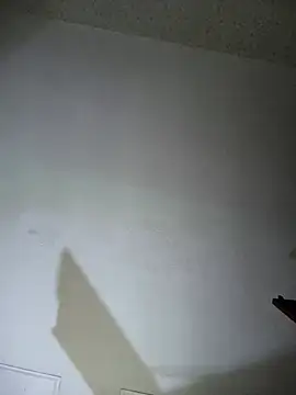 noahstevenss webcam