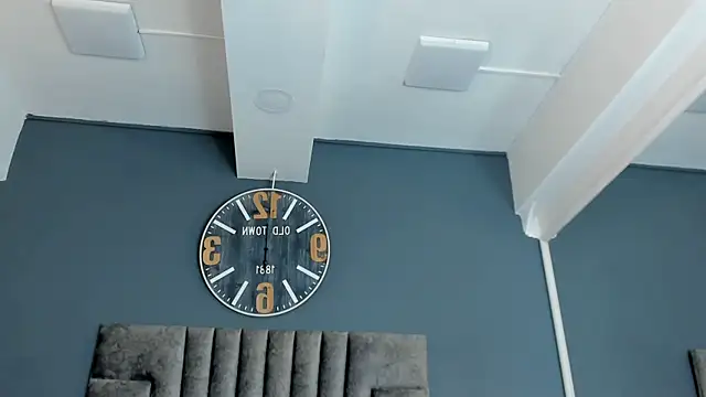 Robin_Rief webcam