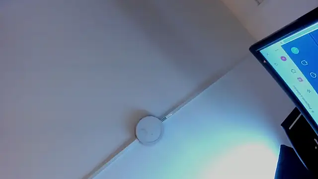Loren_FX webcam