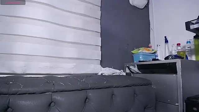 dirty_27cms webcam