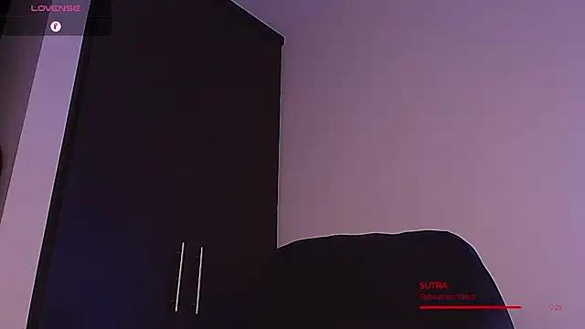 BjornSteel webcam