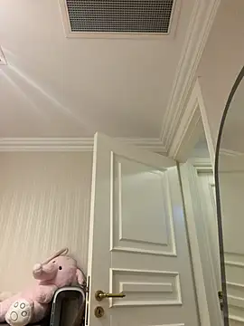 Zarya_Actions