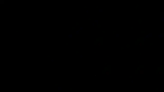 SirFrankonde webcam