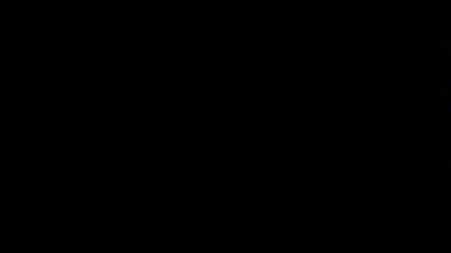 SirFrankonde webcam