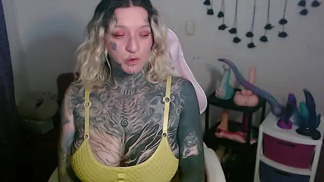 SLOPPYTITSS webcam