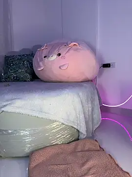 Tsuki-moon webcam