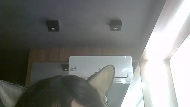 SkinnyKitten webcam
