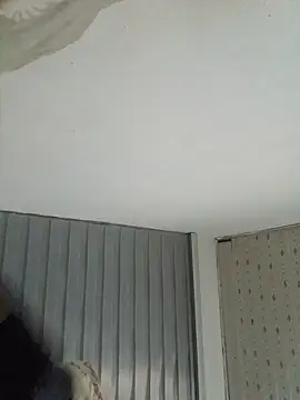 Bulletact live cam
