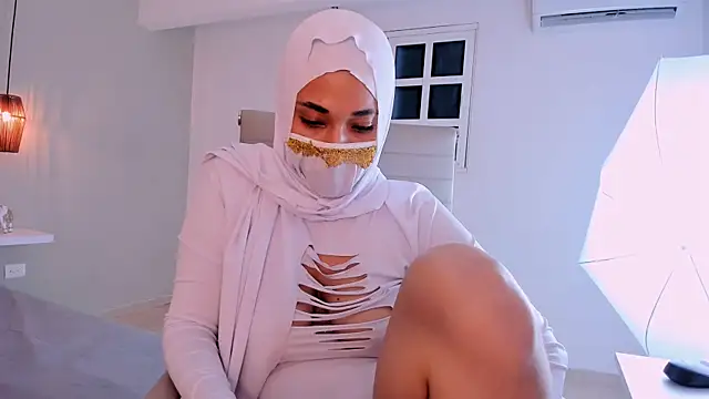 LittleNoor webcam