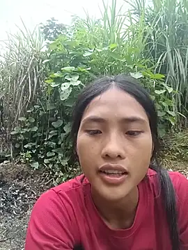 Hoa-tuylip live webcam show