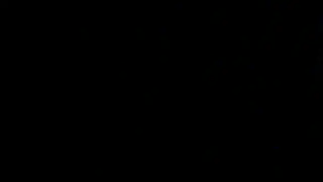 SirFrankonde webcam