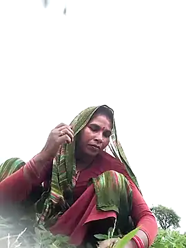 HOtpoojakoli