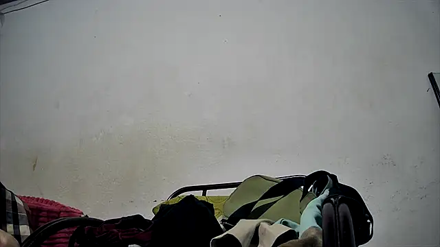 sk8-sir webcam