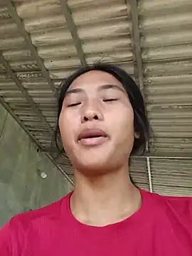 Hoa-tuylip