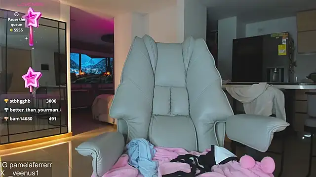_veenus webcam