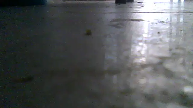 SirFrankonde webcam