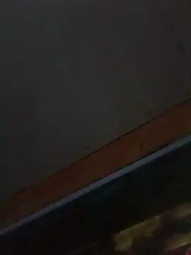 dav74girls webcam