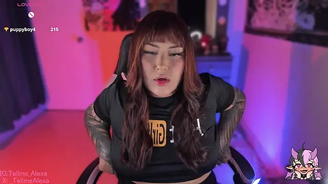 Tellme_Alexa webcam