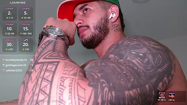 king_falconer webcam