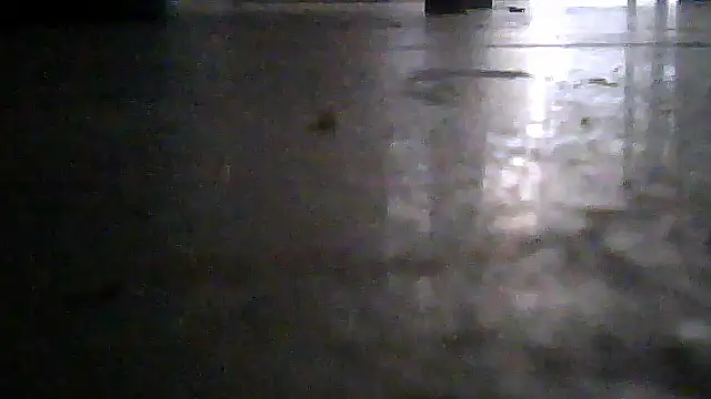 SirFrankonde webcam