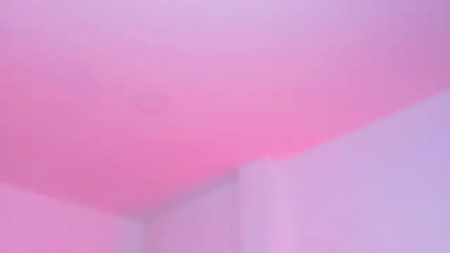 sophierooy22 webcam