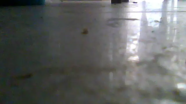 SirFrankonde webcam
