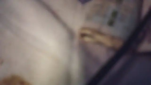 Fariana01