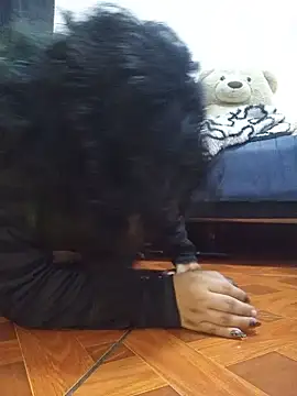 sivi22 webcam