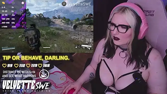 VelvetteSWE webcam