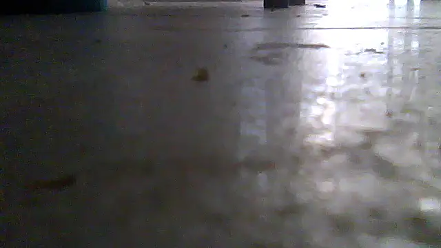 SirFrankonde webcam