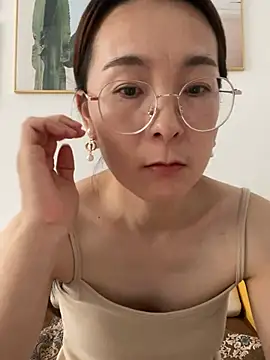 you-520 webcam