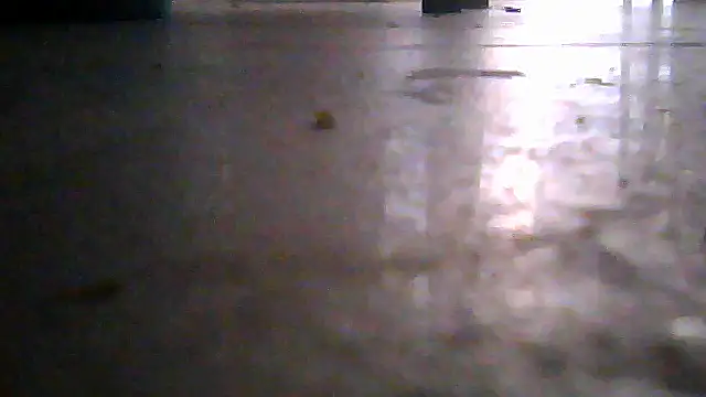 SirFrankonde webcam