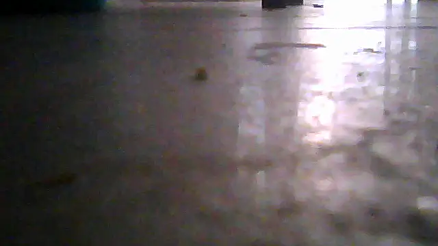 SirFrankonde webcam
