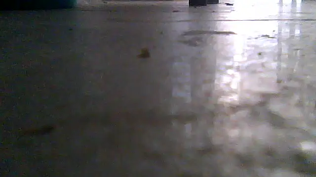 SirFrankonde webcam