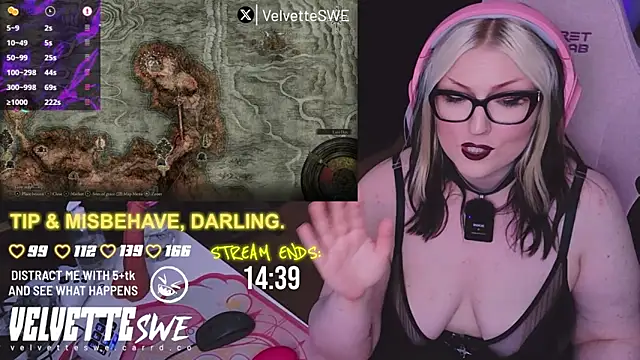 VelvetteSWE webcam