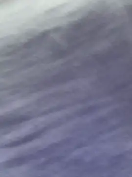 Frost_foxy webcam