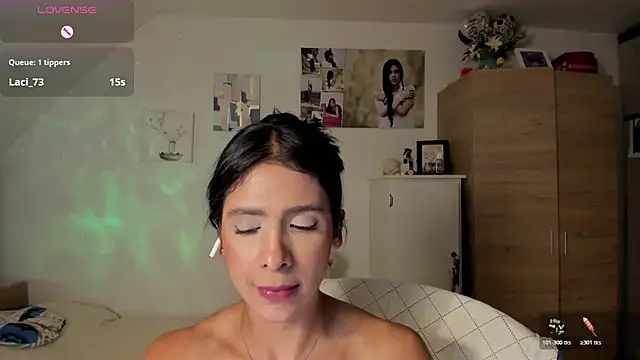 Veronikolsen- webcam