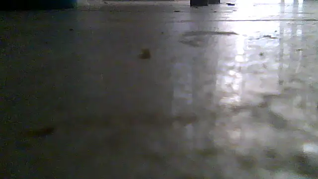 SirFrankonde webcam